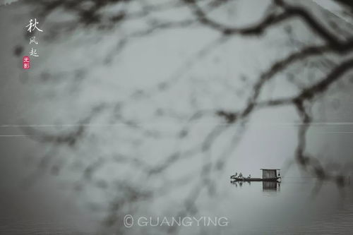 光影俱樂(lè)部創(chuàng)作班 在文學(xué)與藝術(shù)的交匯處探索文藝創(chuàng)作